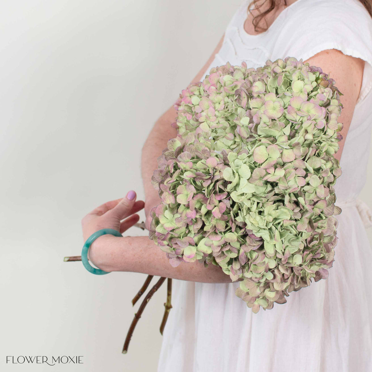 Soft Red Antique Hydrangea Flower