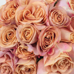 Golden Brown Symbol Rose Flower