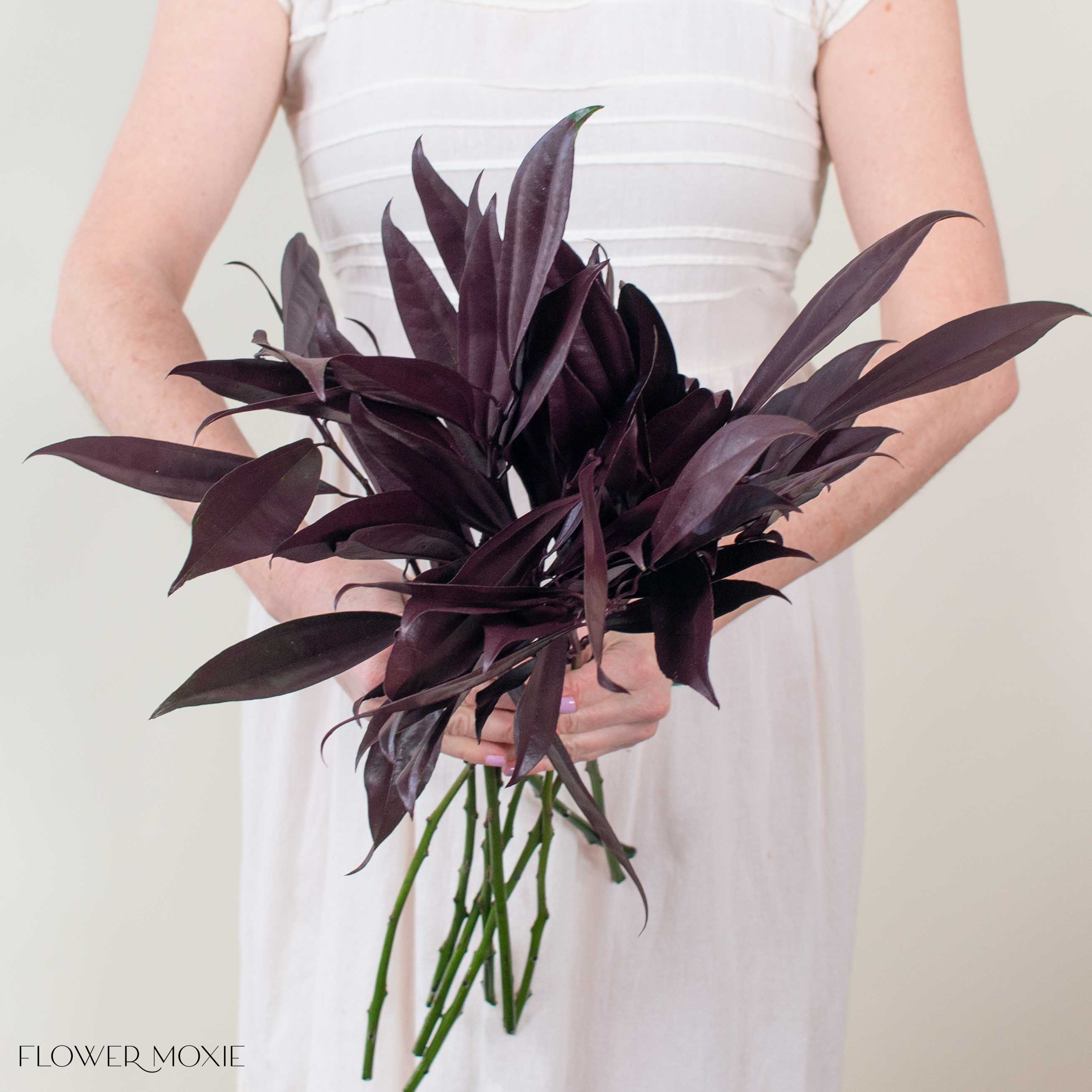 Tinted Burgundy Cocculus Greenery | DIY Wedding Flowers | Flower Moxie