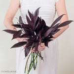 Tinted Burgundy Israeli Ruscus Greenery