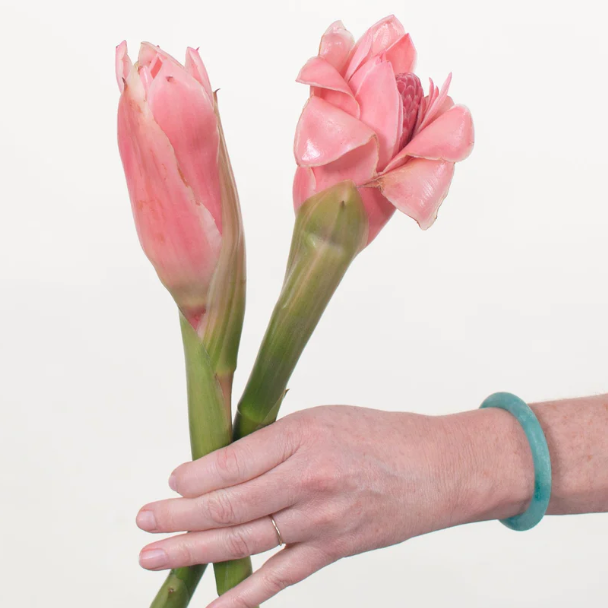 Pink Torch Ginger Flower