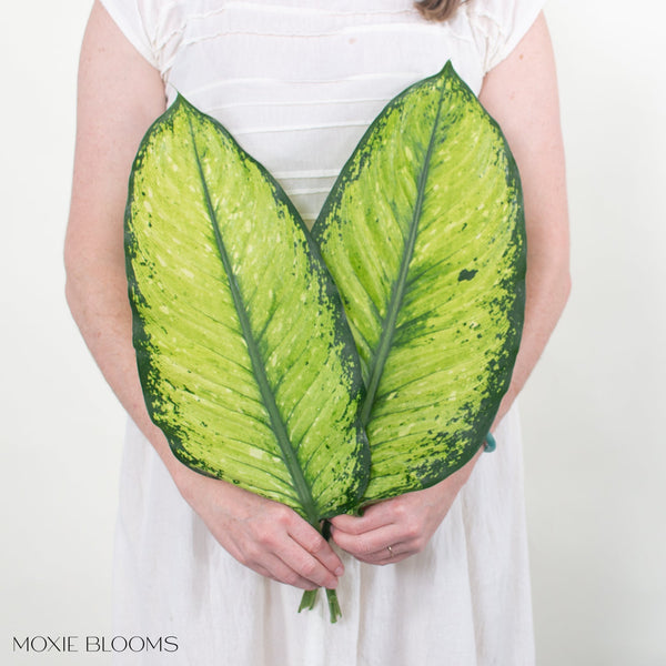 Lemon Dieffenbachia Greenery - DIY Flowers with Free Shipping