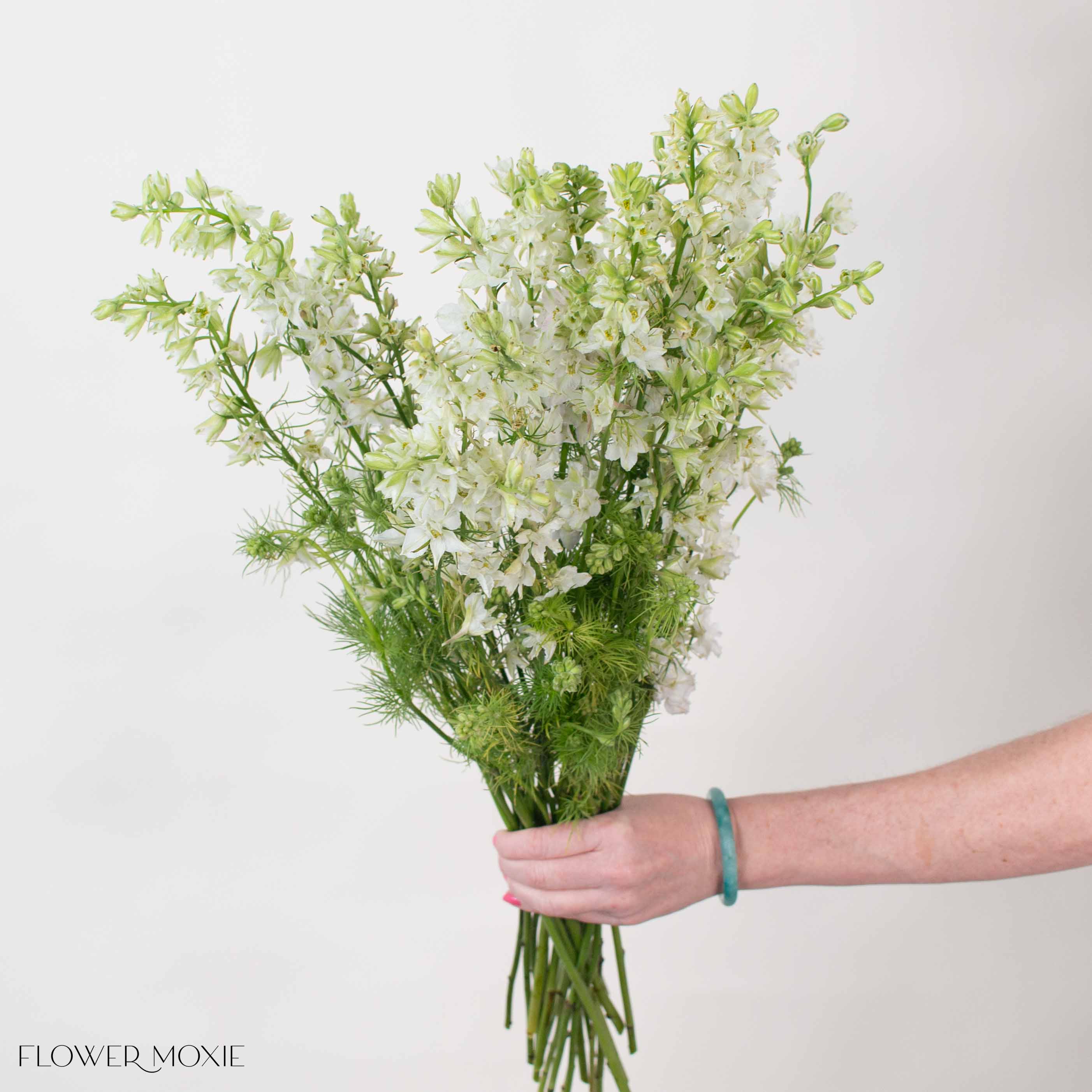 White Larskpur Flower
