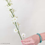 White Larskpur Flower
