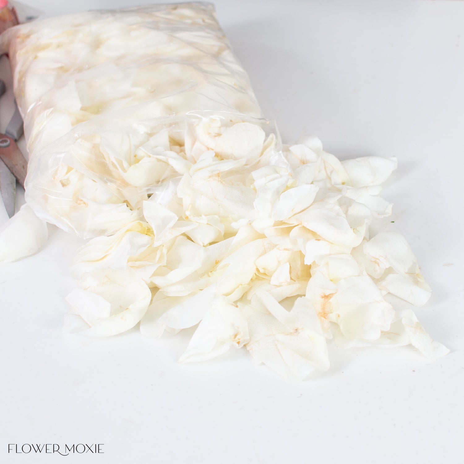 bulk white rose petals