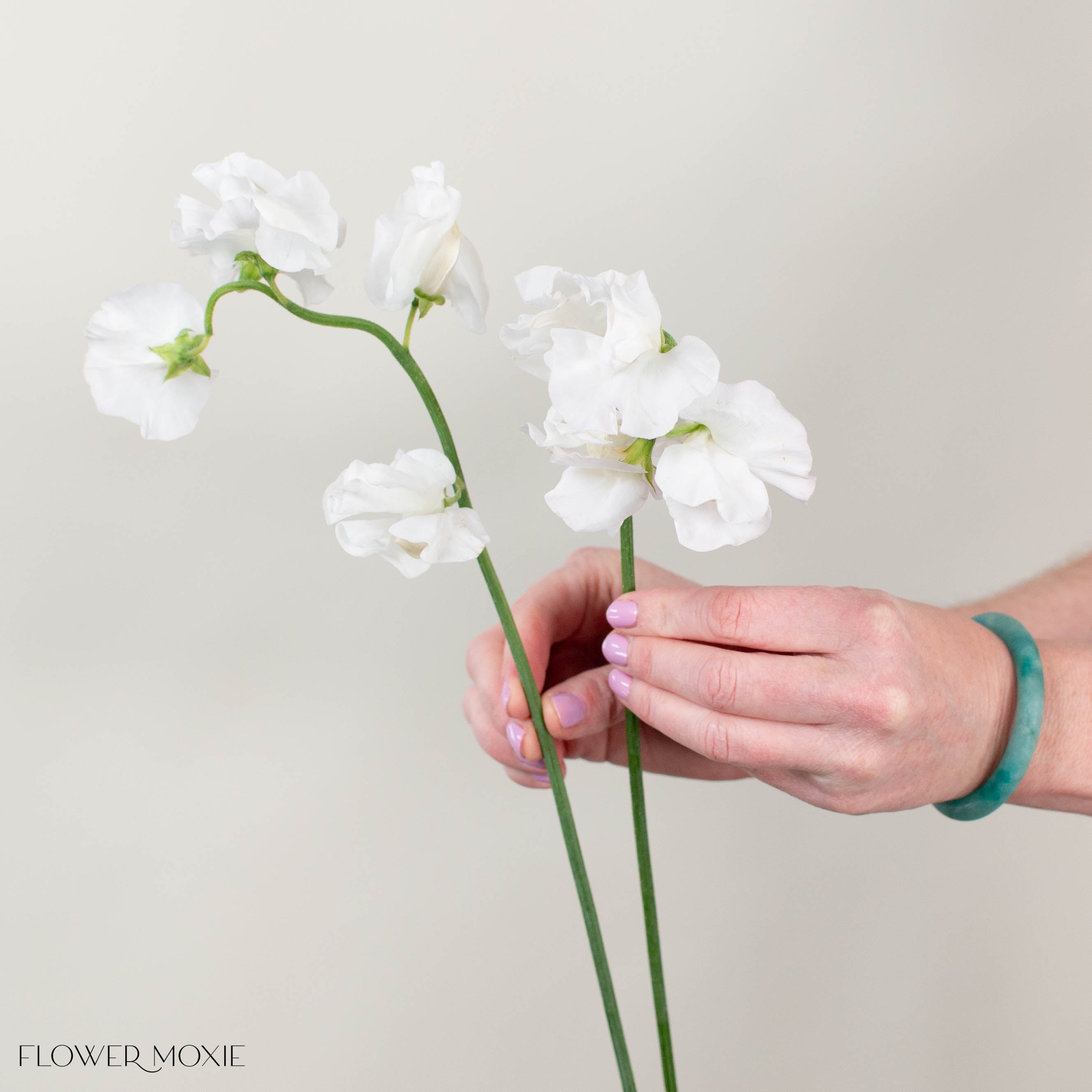 White Sweet Pea Flowers | Fresh Wedding Flowers | Flower Moxie