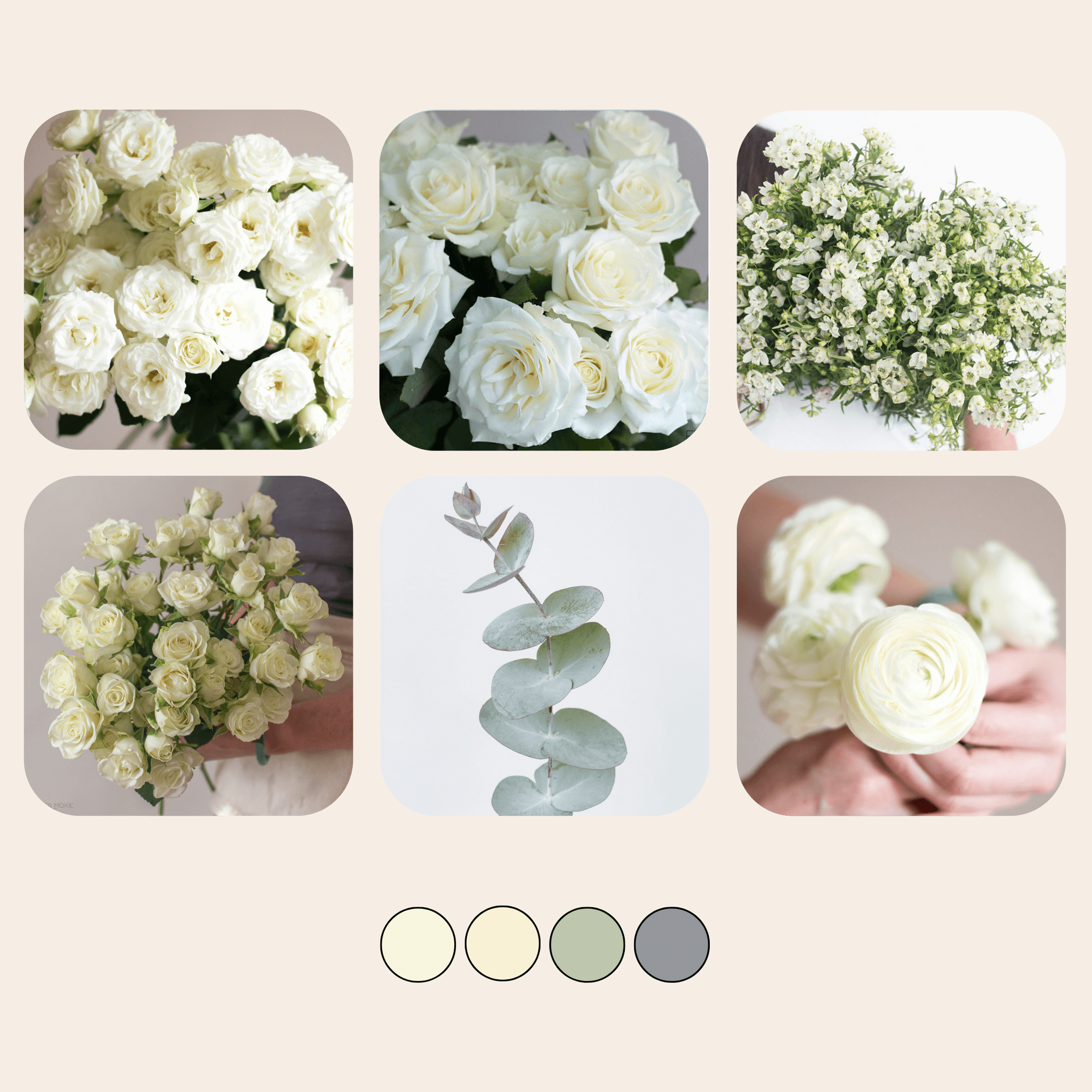 white garden diy flower box