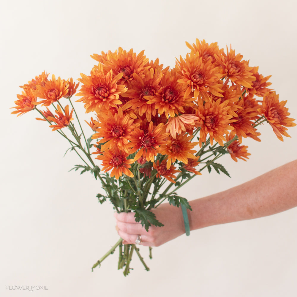 Orange Flowers - Wholesale Bulk Flowers - Blooms By The Box