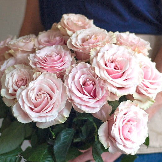 Lite Pink Roses Light Pink Rose Bouquet