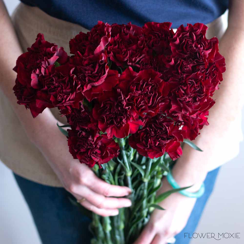 Burgundy Mini Carnations, DIY Wedding Flowers