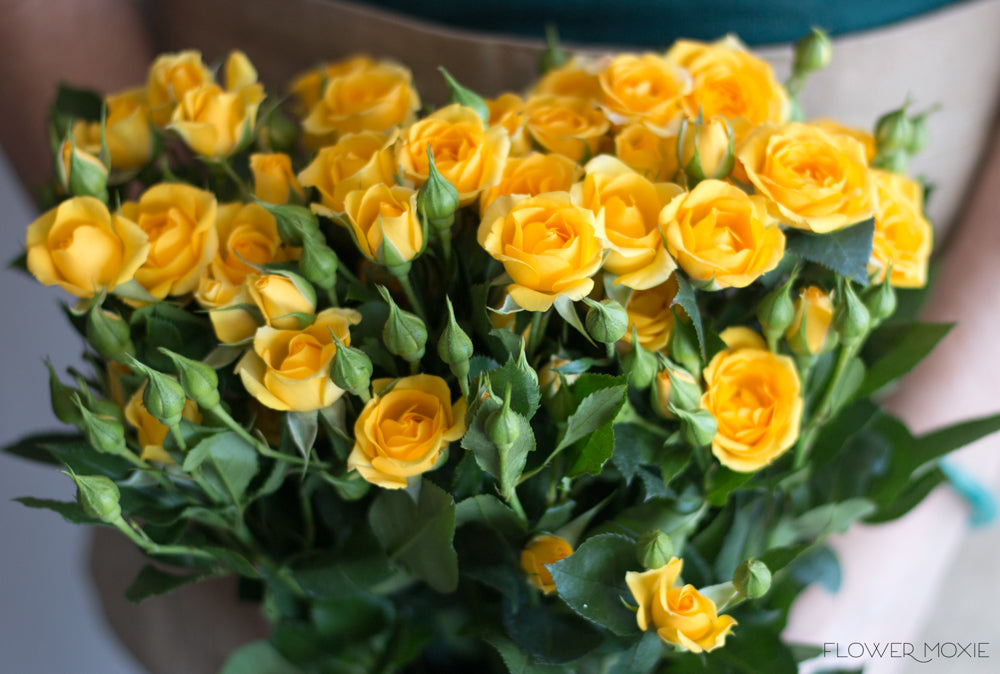 Yellow Spray roses