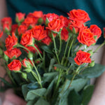 Orange spray rose flower