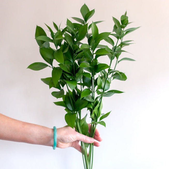 Israeli Ruscus | DIY Wedding Flowers | Flower Moxie