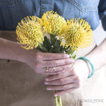Yellow Pincushion Protea