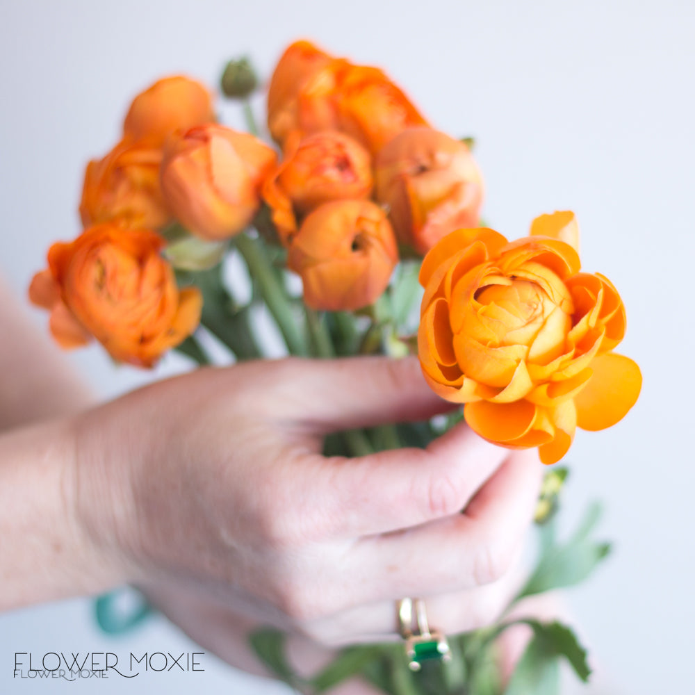 Orange Ranunculus | Bulk Fresh DIY Wedding Flowers – Flower Moxie