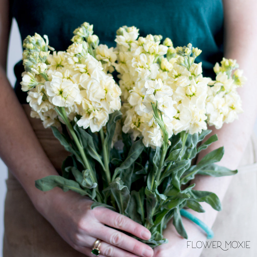 Citrus Crush Bouquet Kit, DIY Wedding Flowers, Flower Moxie