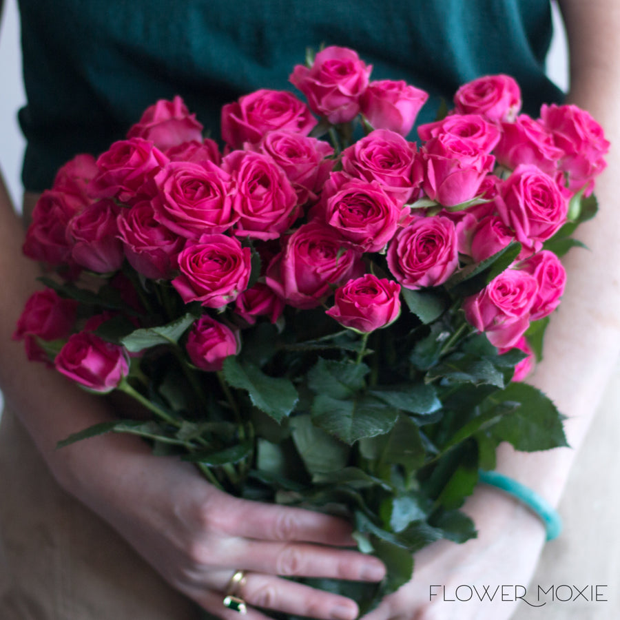 Deep Pink Spray Rose Flower | DIY Wedding Flowers | Flower Moxie