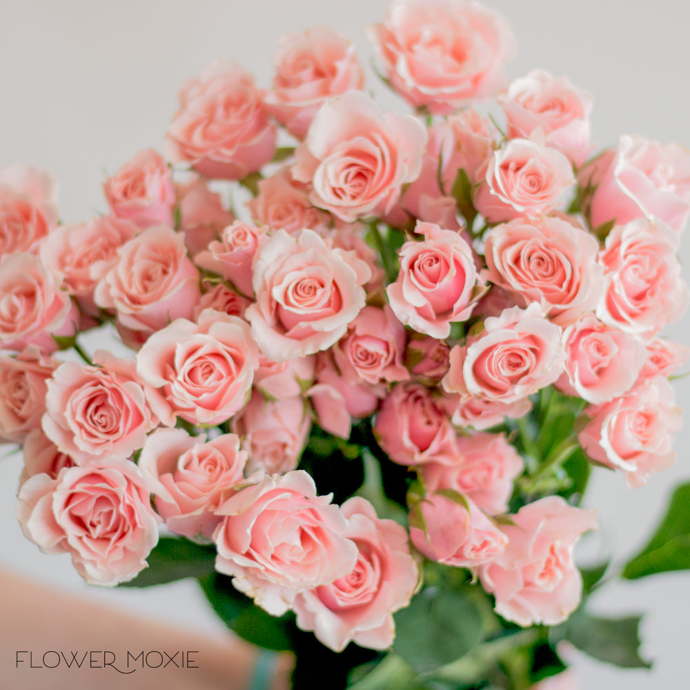 pink spray rose bouquet