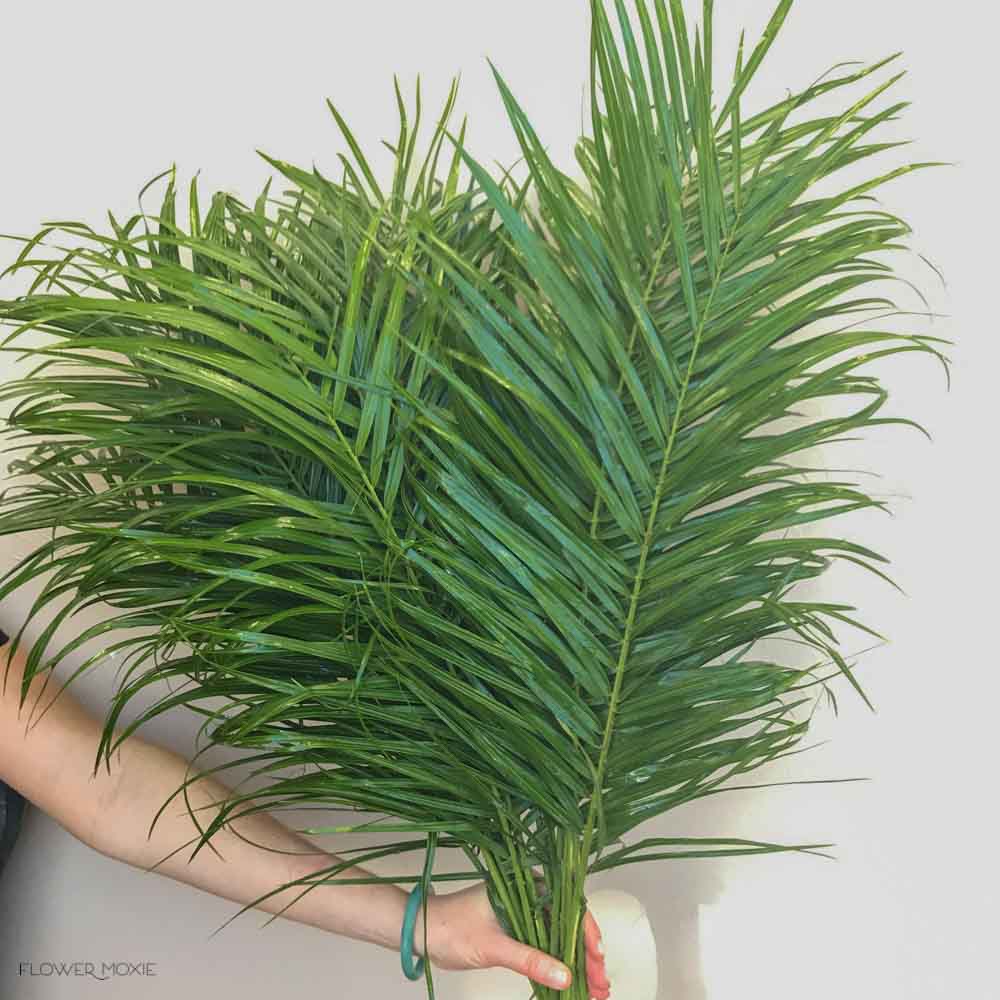 Robellini Palm Leaf Greenery