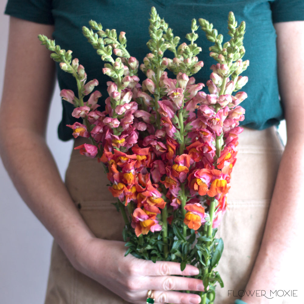 Orange Flowers  Bulk Fresh Flowers for DIY Brides – Flower Moxie