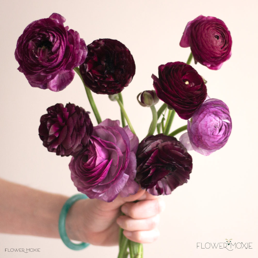 Purple Ranunculus Bouquet