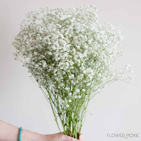 Baby's Breath Flowers | DIY Wedding Flowers | Flower Moxie