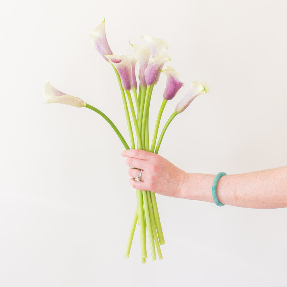 Picasso Calla Lily | DIY Wedding Flowers | Flower Moxie 30 Stems