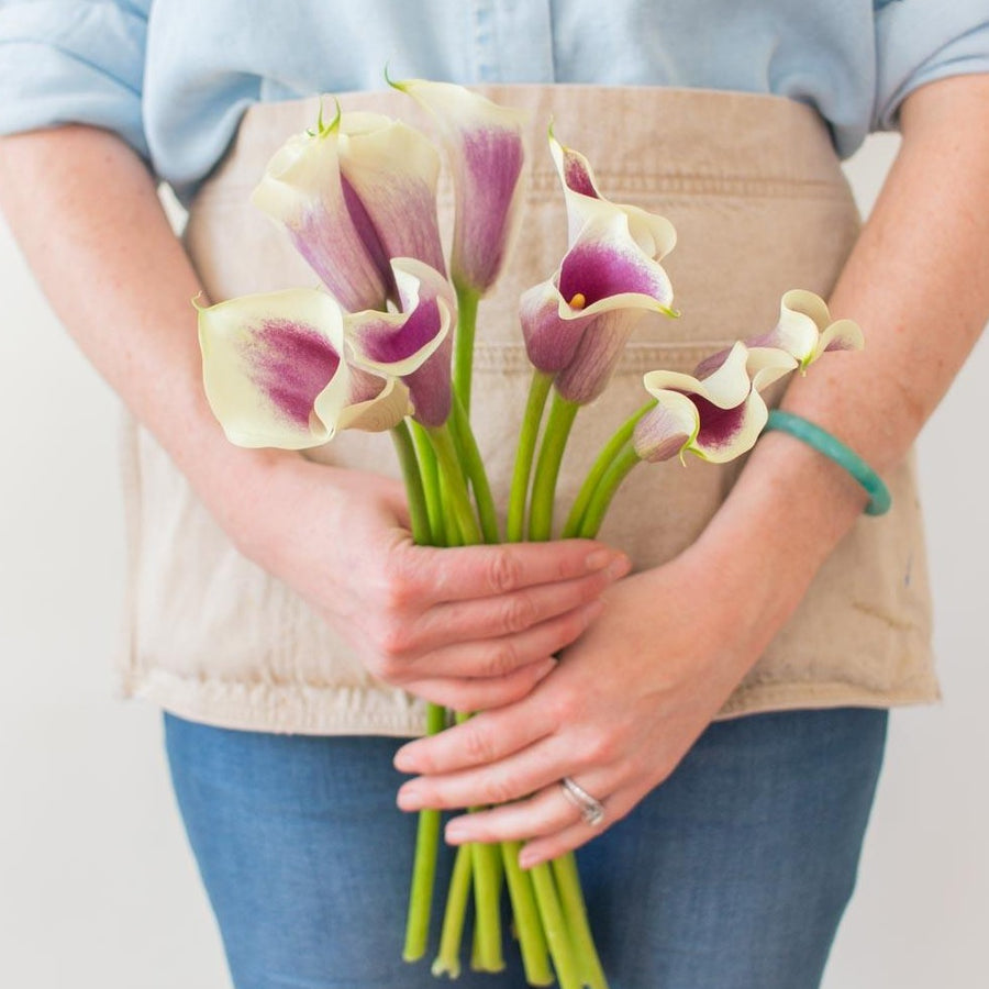 Picasso Calla Lily | DIY Wedding Flowers | Flower Moxie 30 Stems