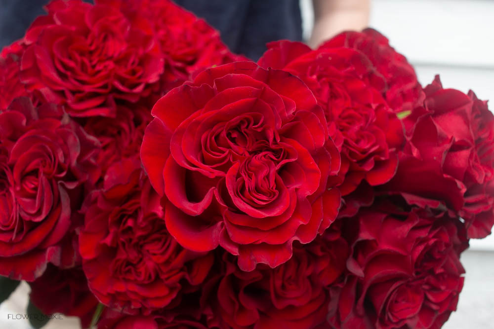 Deep Red Roses Event Deep Red Heart Roses | Fresh DIY Wedding Flowers | Flower Moxie