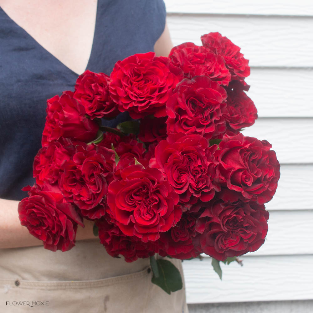 Red Heart Roses Images at Ana Means blog