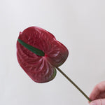 Faux Red Anthurium Tropical Wedding Flower