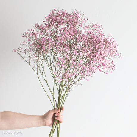 Baby's Breath Flowers | DIY Wedding Flowers | Flower Moxie