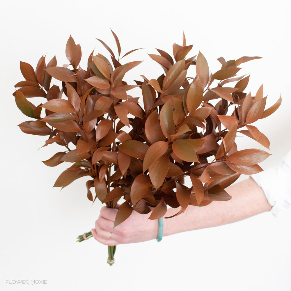 Bronze Israeli Ruscus | DIY Wedding Flowers | Flower Moxie