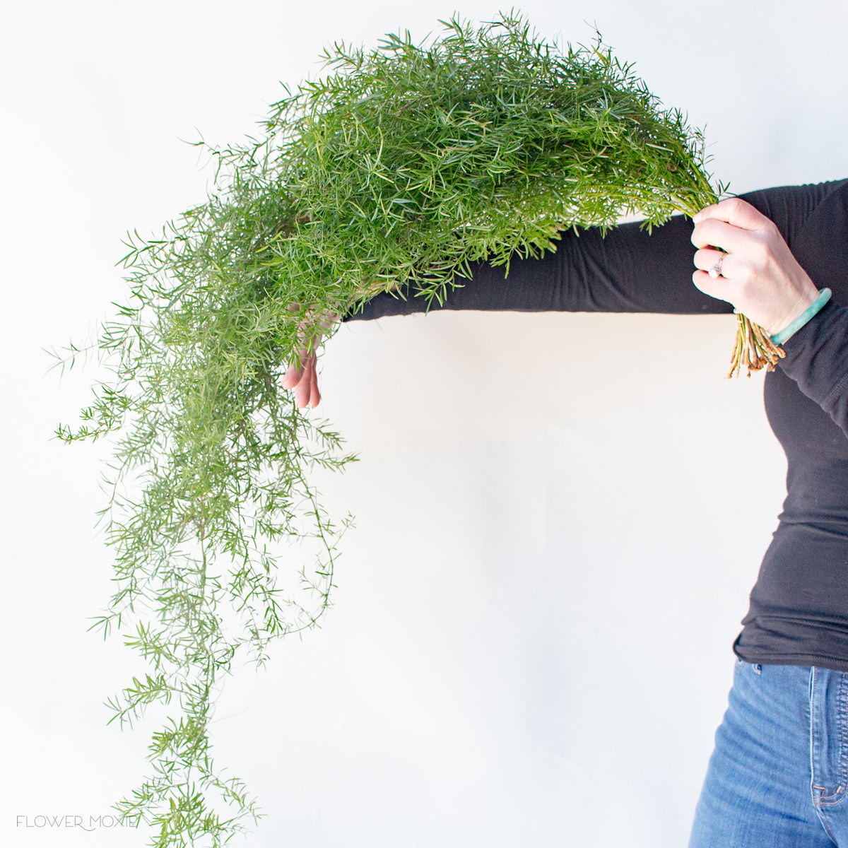 Springery Sprengeri Fern Greenery | Flower Moxie | DIY Wedding Flowers