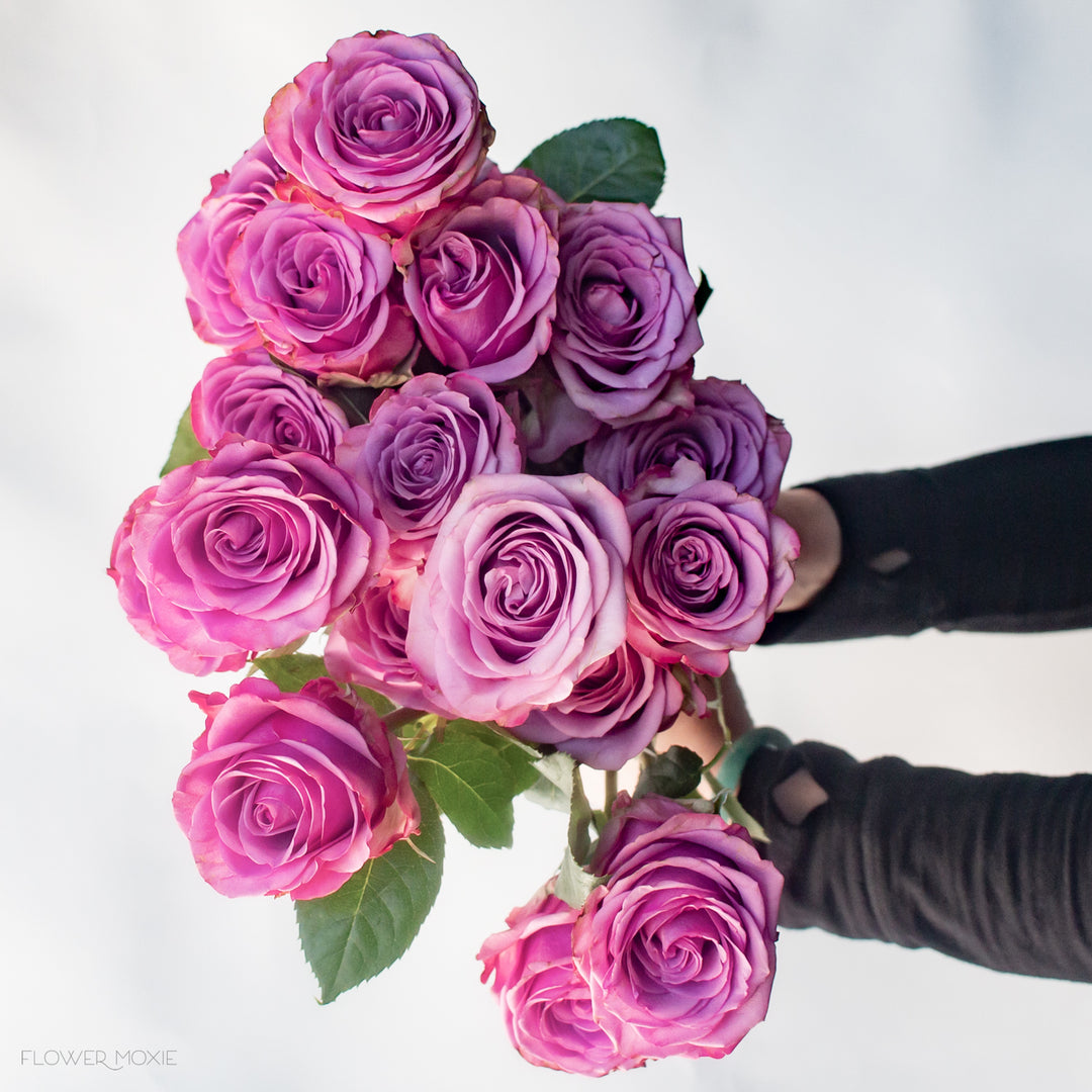Wicked Cool Roses Cool Water Purple Roses | DIY Wedding Flowers | Flower Moxie