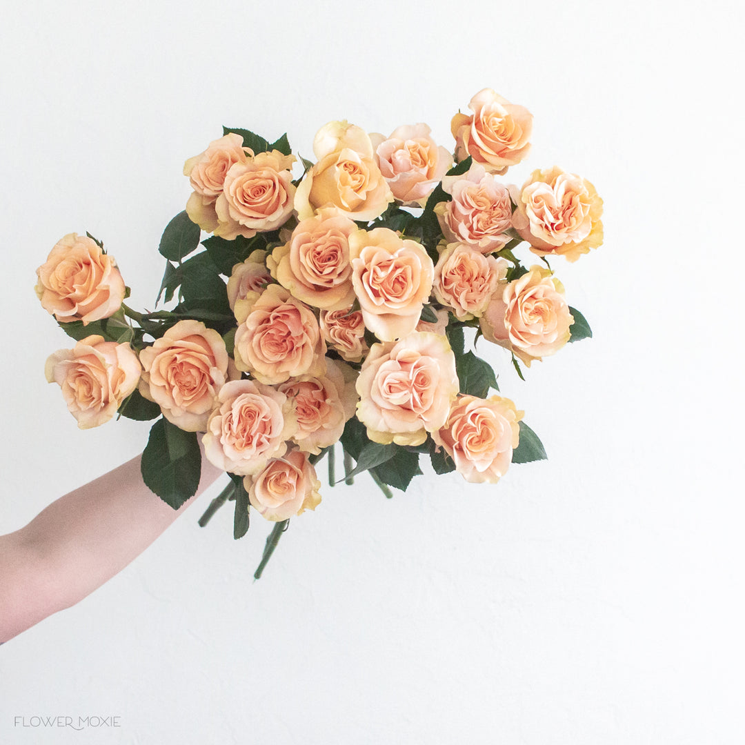 Peach Phoenix Roses | Fresh DIY Wedding Flowers | Flower Moxie
