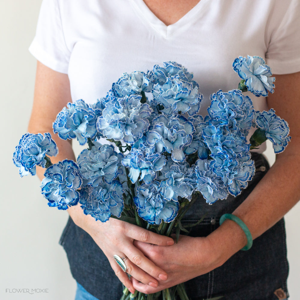 blue tinted carnations