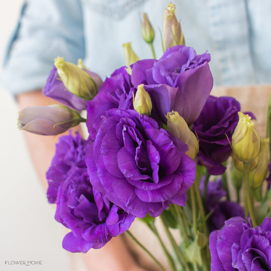 Dark Purple Lisianthus DIY Wedding Flowers Flower Moxie