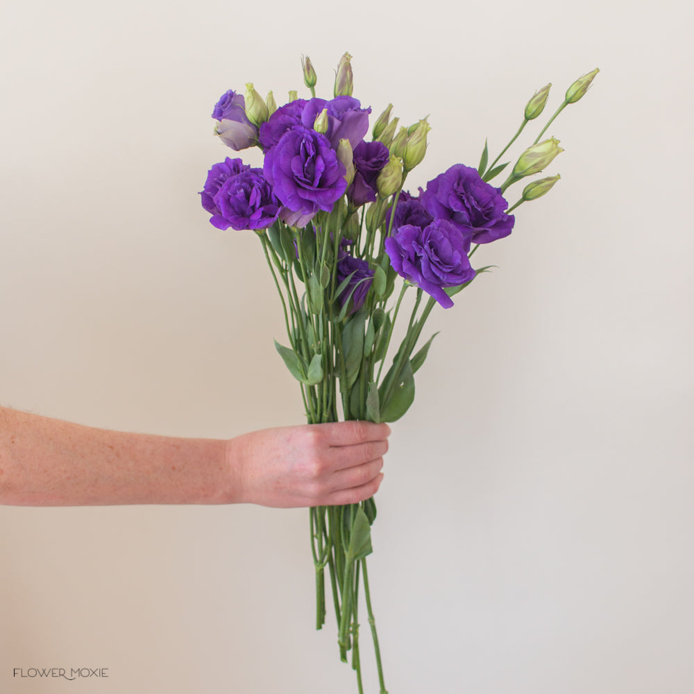 deep purple lisianthus flower