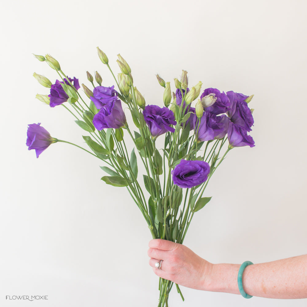deep purple lisianthus flower