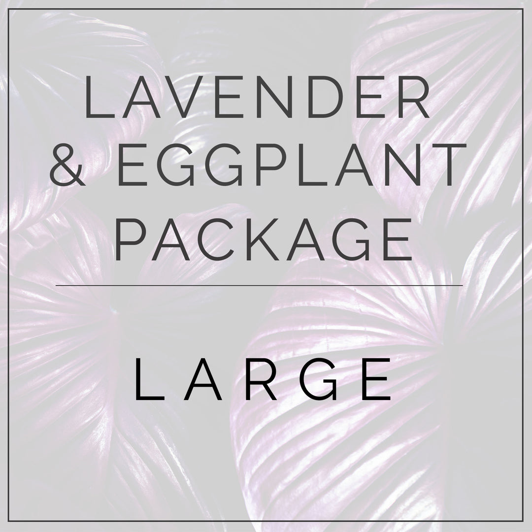 Lavender and Eggplant Large Package Flower Moxie