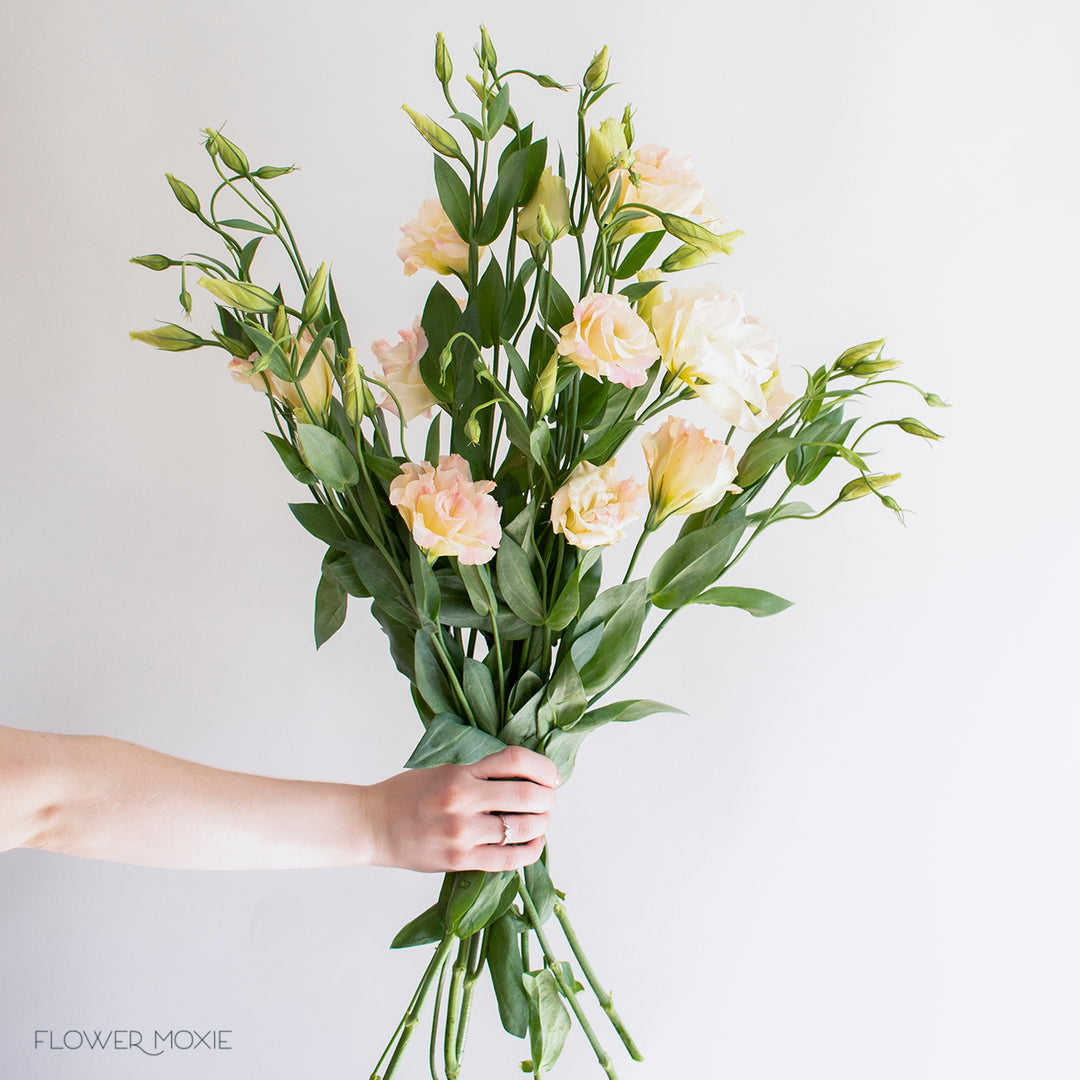 Peach Lisianthus Flower DIY Wedding Flowers Flower Moxie