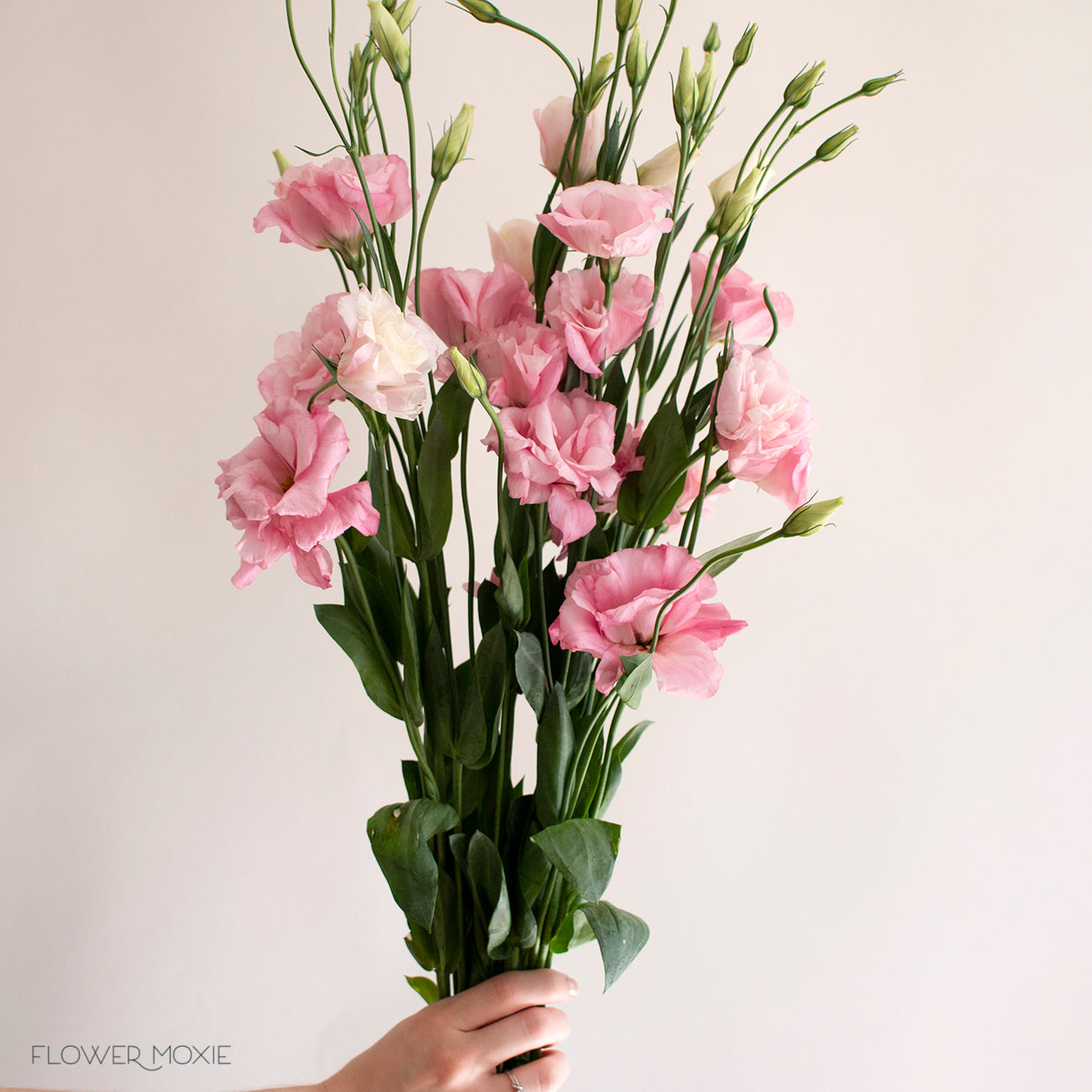 Pink Lisianthus Flower | DIY Wedding Flowers | Flower Moxie