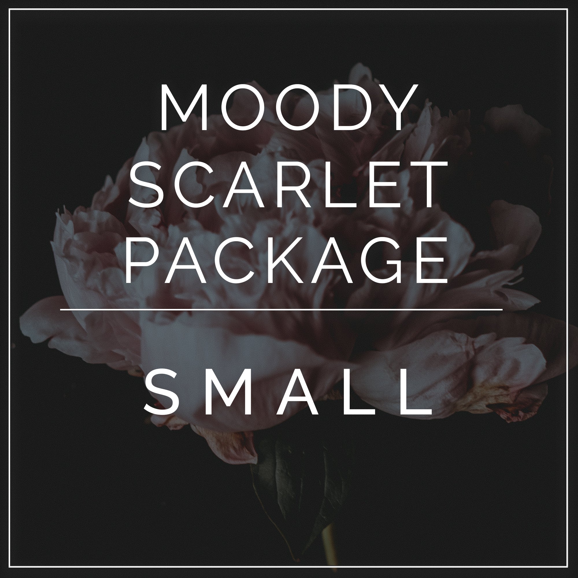 Moody Scarlet diy wedding flower package