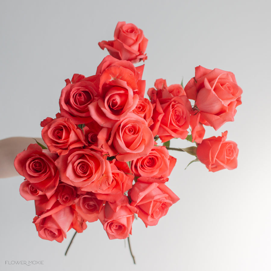 Coral Movie Star Roses | Fresh DIY Wedding Flowers | Flower Moxie