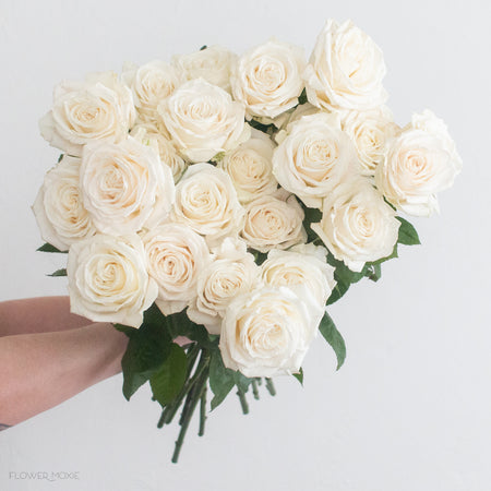 Moxie Spotlight: Melissa and Ethan – Flower Moxie