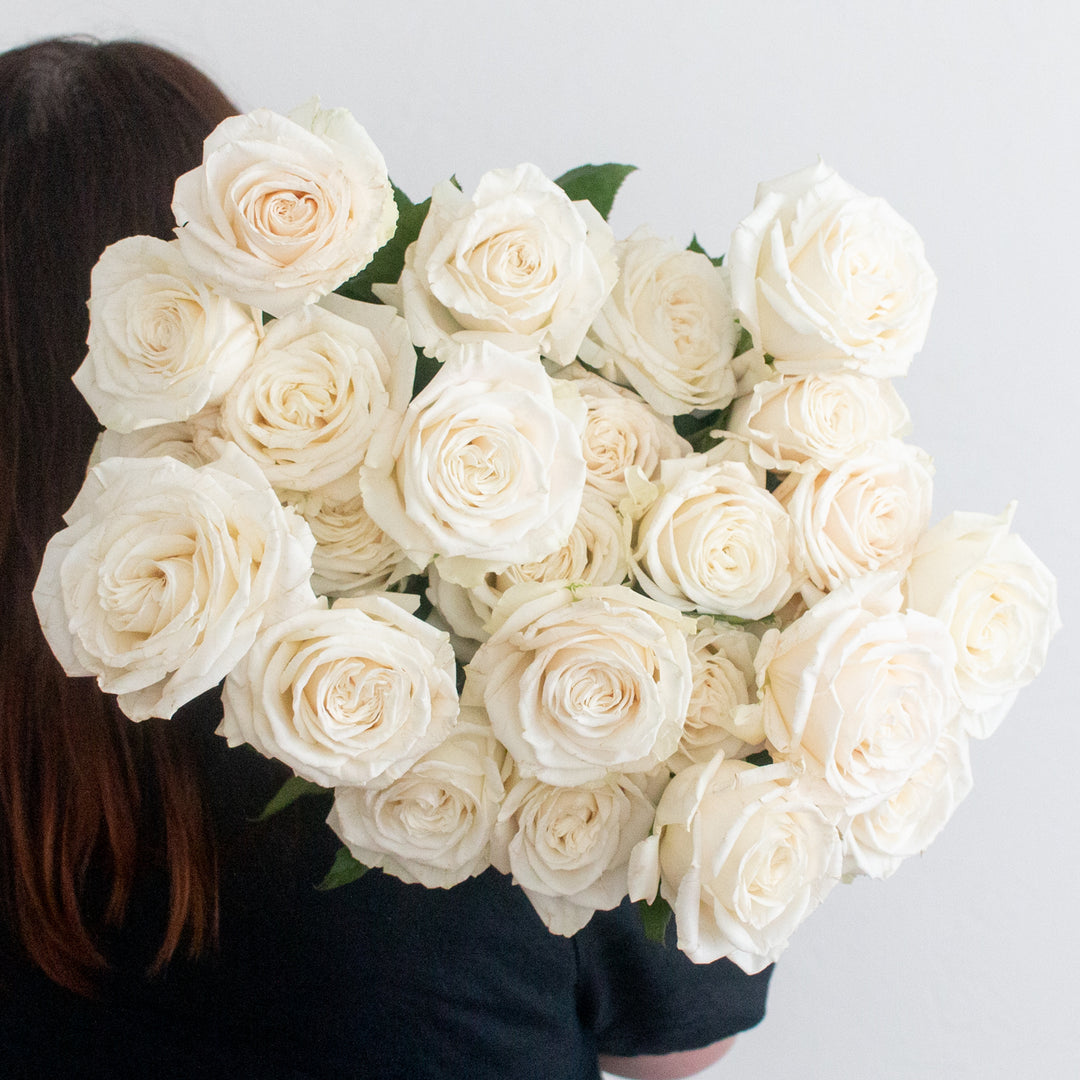 Playa Blanca Roses Fresh DIY Wedding Flowers Flower Moxie