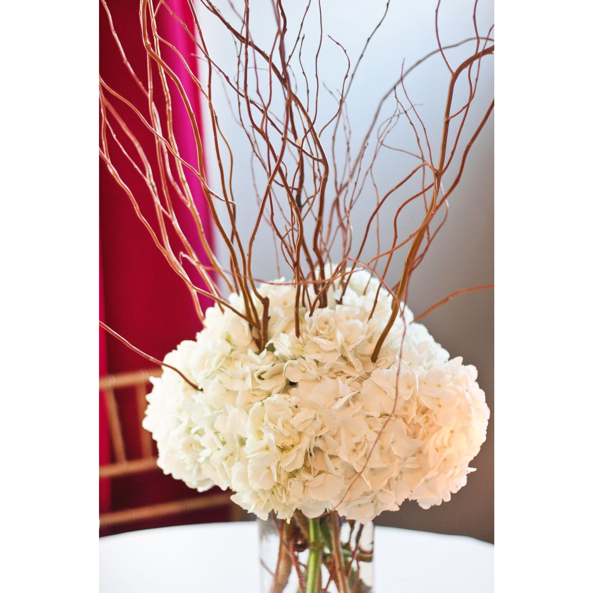 Curly Willow Branches 100 buy bulk flowers- JR Roses