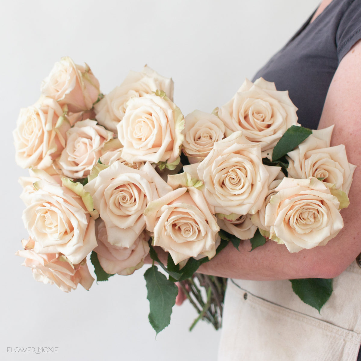 Sandy Beige Roses Beige Roses | Fresh DIY Wedding Flowers | Flower Moxie