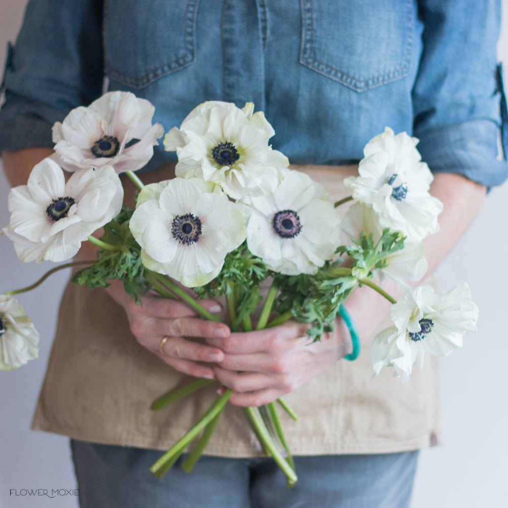 white anemone flowers | bulk fresh wedding flowers- flower moxie